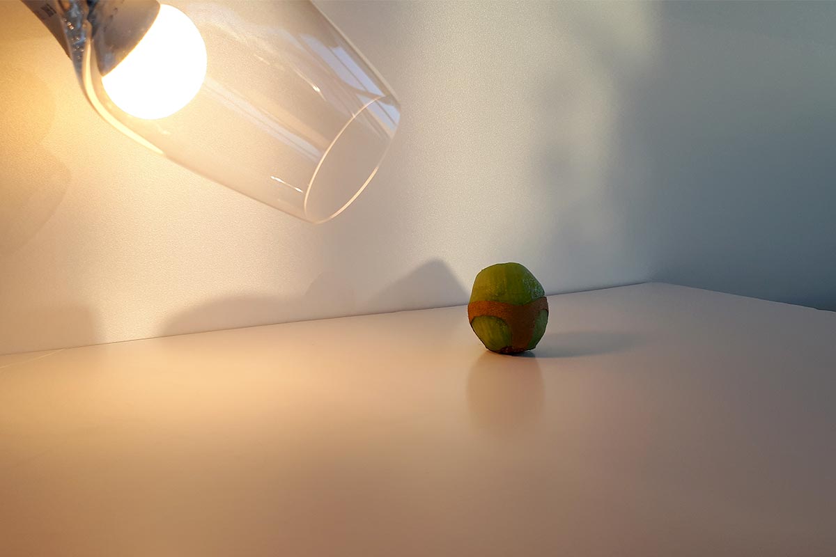 Photo shoot of a kiwi and a wine glass for the decor of the 2020 wishes of the agency Bulle Architectes.