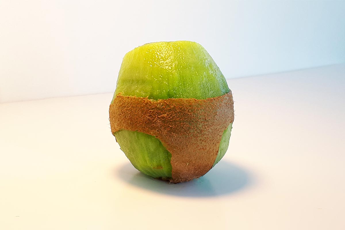 Kiwi peeled so as to form a panties for the staging of the 2020 wishes of the agency Bulle Architectes.