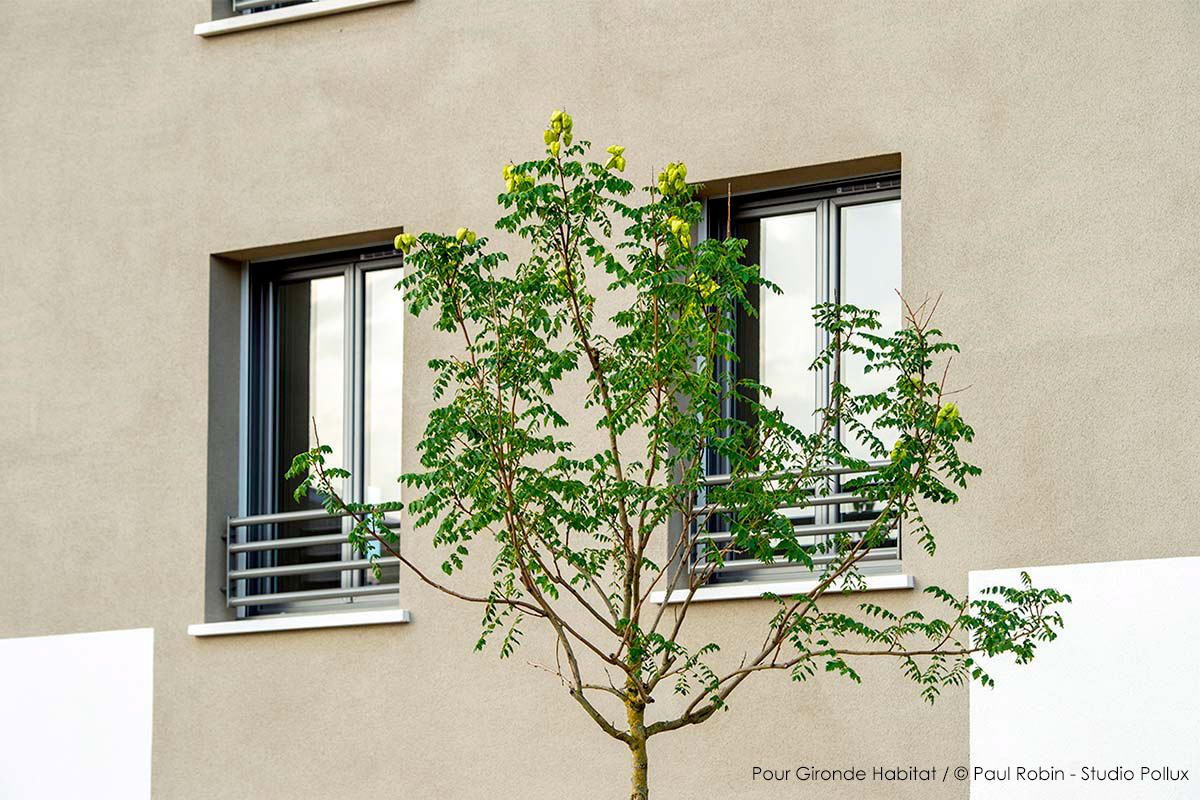 Façade en enduit de la résidence Les Etoiles réalisée pour Gironde Habitat à Martignas-Sur-Jalles par l'agence Bulle Architectes.